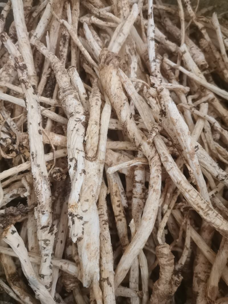 刮皮南沙参