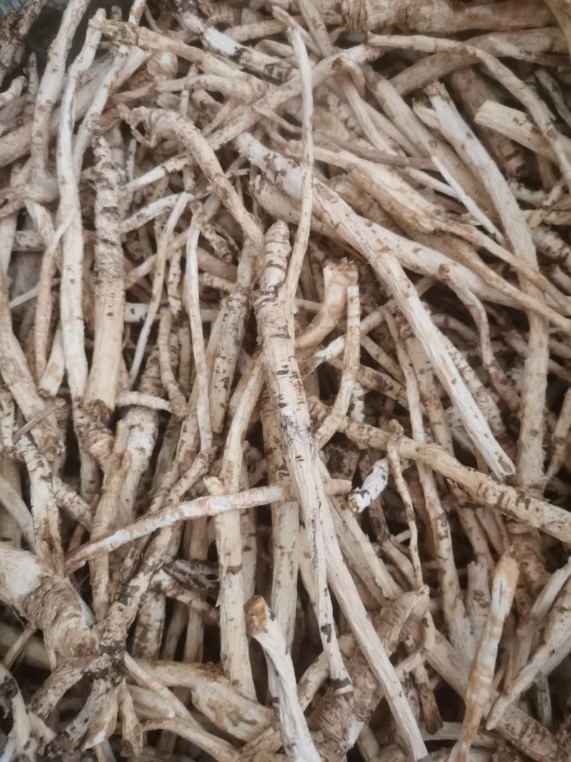 刮皮南沙参