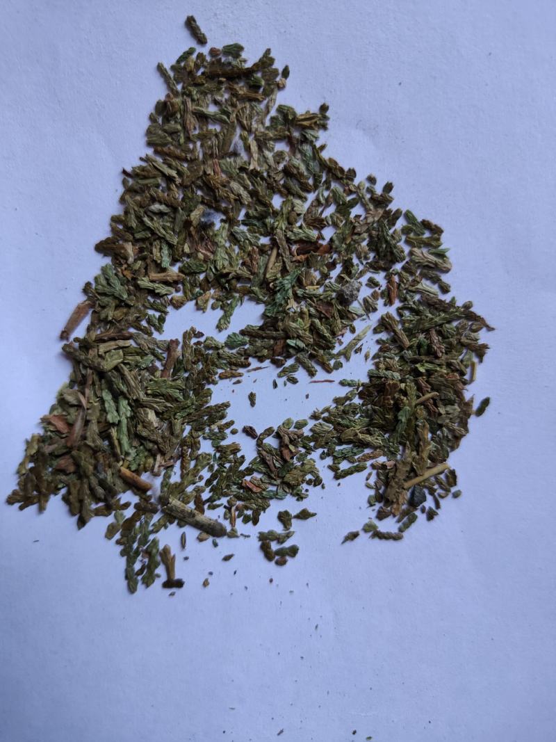 侧柏叶统批发诚信经营支持混批量大从优一件代发