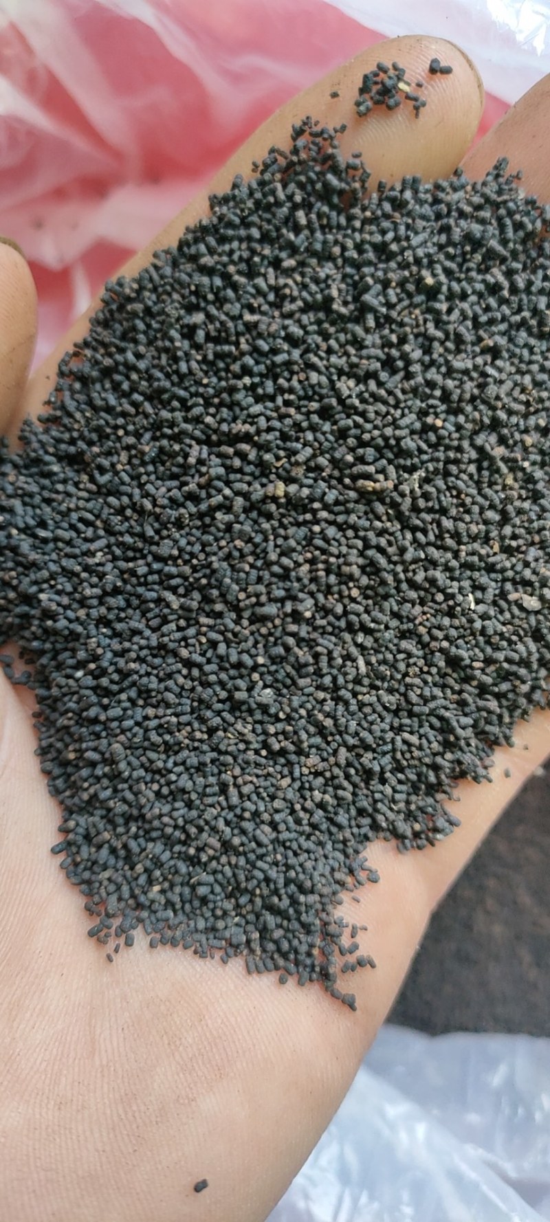 红茶白茶虫茶大量从优