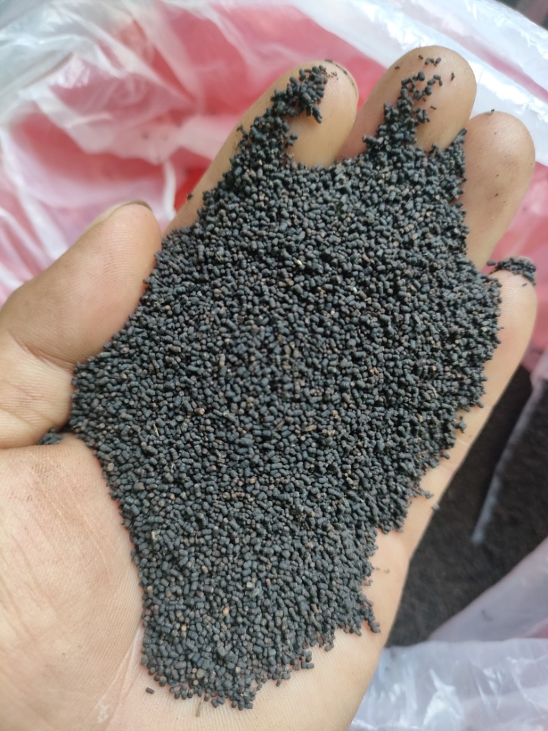 红茶白茶虫茶大量从优