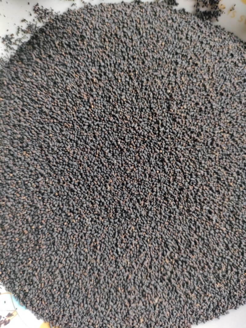 红茶白茶虫茶大量从优