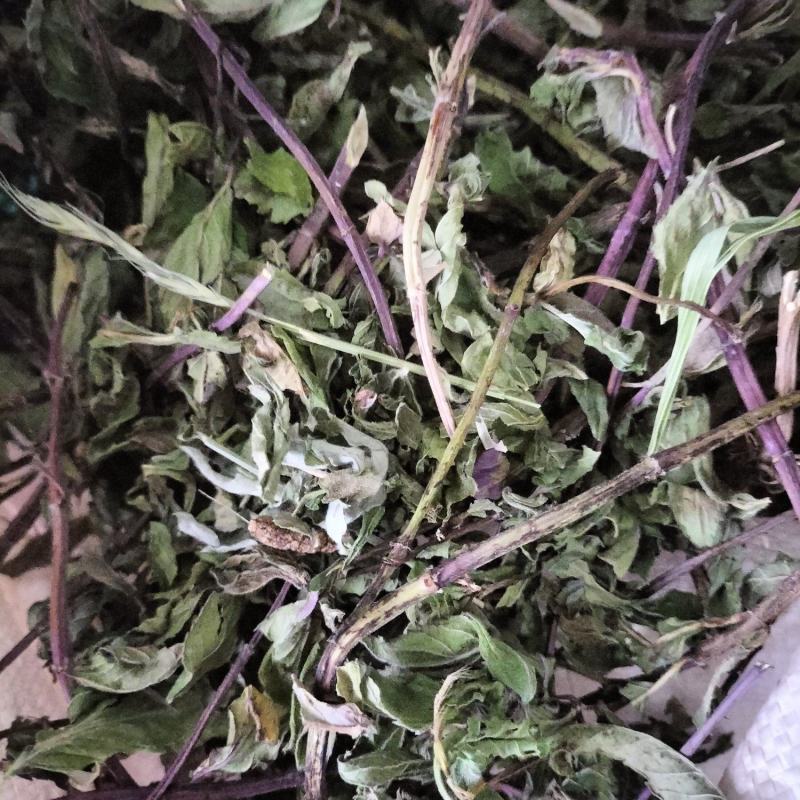 薄荷，2024年新货，香味浓，整棵，不带根，药食两用。
