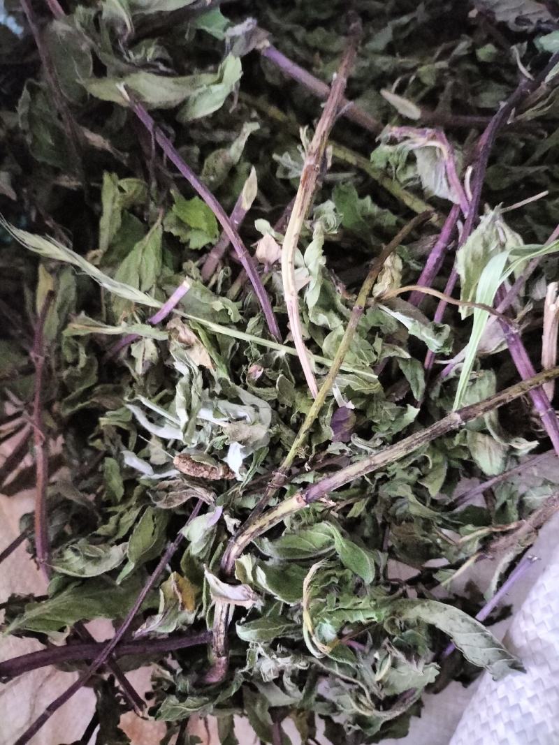 薄荷，2024年新货，香味浓，整棵，不带根，药食两用。
