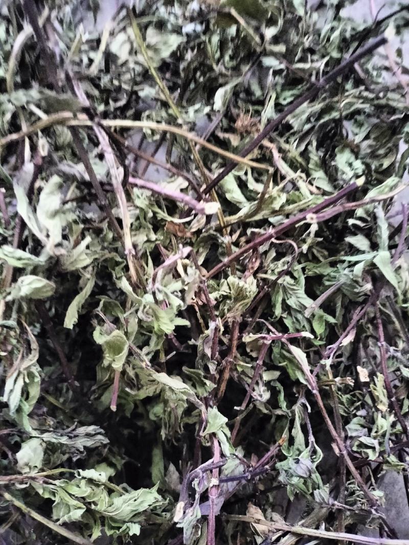 薄荷，2024年新货，香味浓，整棵，不带根，药食两用。