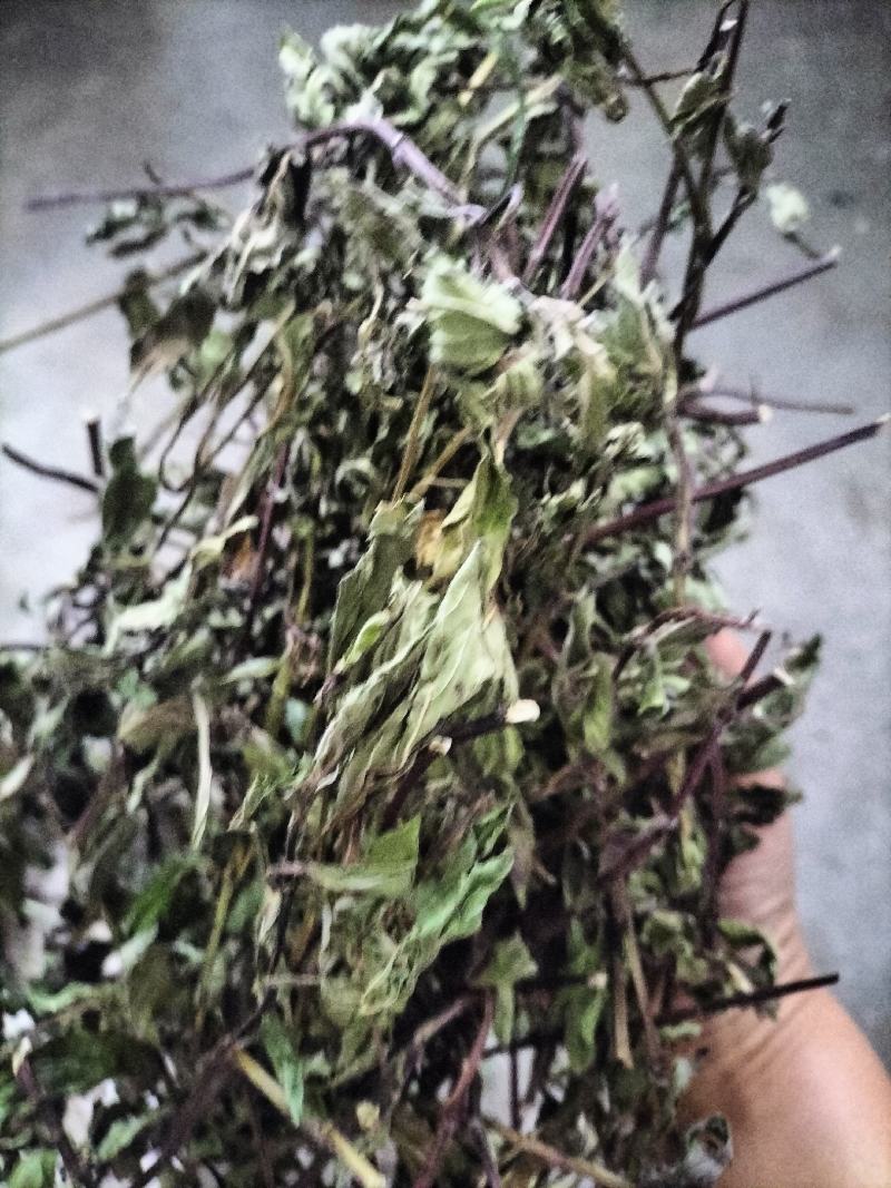 薄荷，2024年新货，香味浓，整棵，不带根，药食两用。
