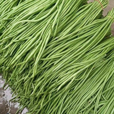 小金豆长沙货6块