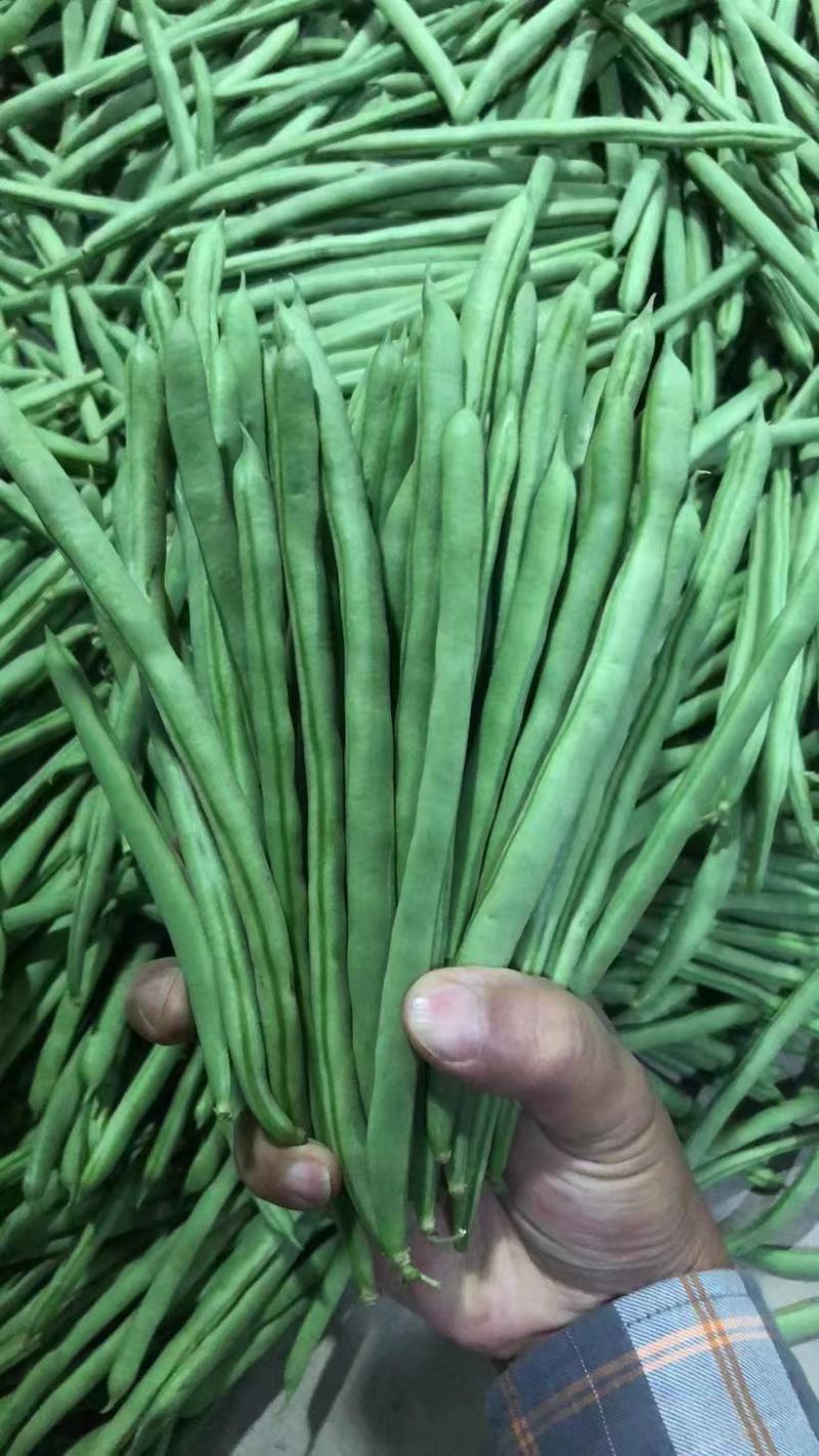 小金豆长沙货6块