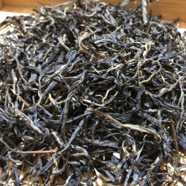 正宗云南普洱大箐王古树茶古树晒红产地直销品质上乘