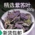 紫苏叶500克野生干新鲜食用紫苏叶中药材干货正宗鱼虾去