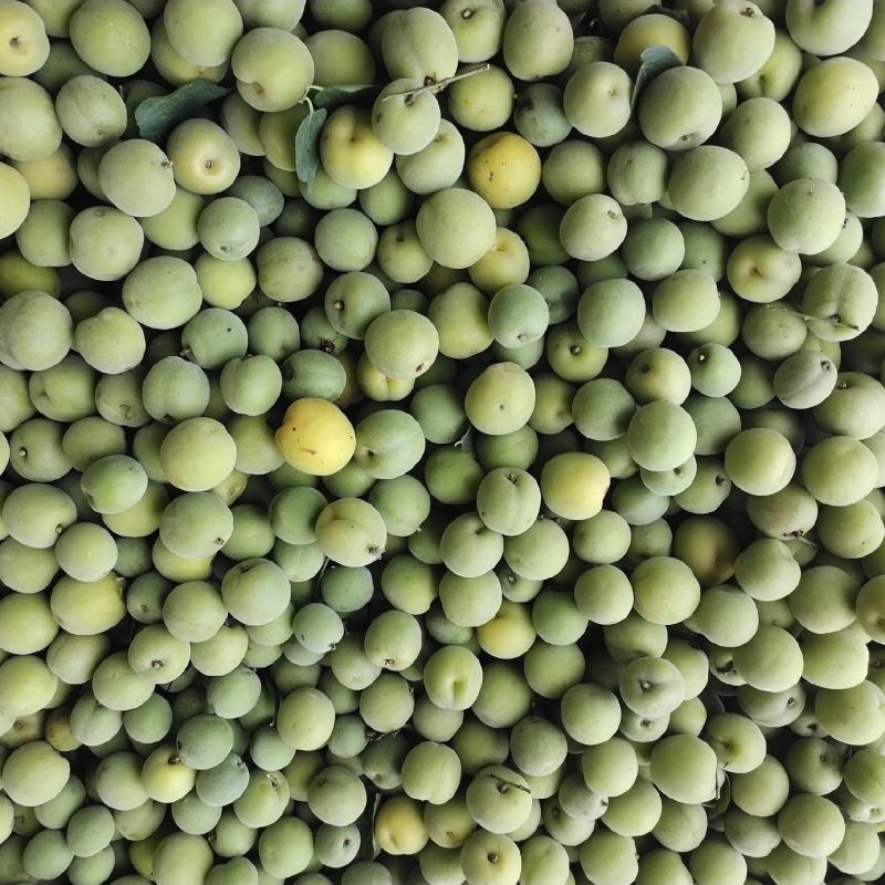包邮乌梅，，泡酒，泡水，凉拌，酸爽，甘甜，回味无穷。