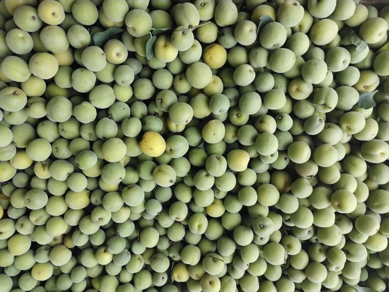 包邮乌梅，，泡酒，泡水，凉拌，酸爽，甘甜，回味无穷。