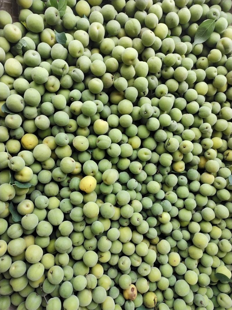 包邮乌梅，，泡酒，泡水，凉拌，酸爽，甘甜，回味无穷。