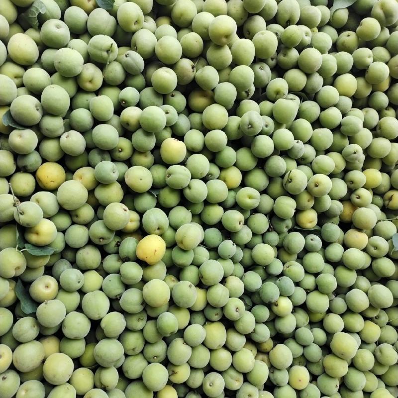 包邮乌梅，，泡酒，泡水，凉拌，酸爽，甘甜，回味无穷。
