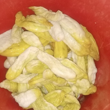 黄瓜皮