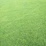 四季青草坪