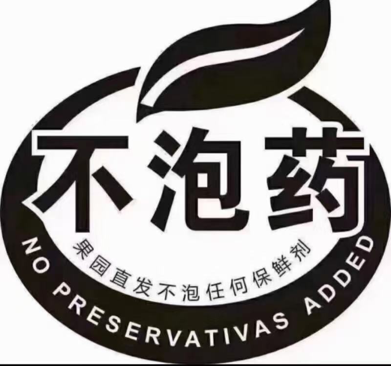 仙居杨梅