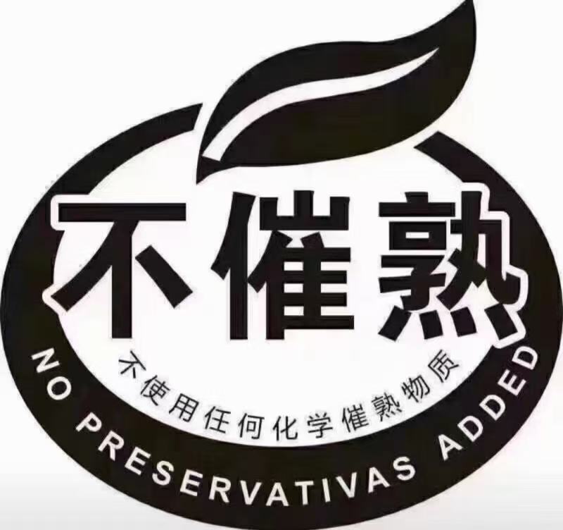 仙居杨梅