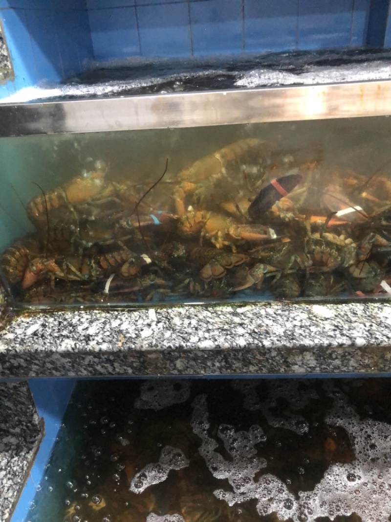 帝王蟹、波龙、小青龙、松叶蟹，红毛蟹，干蚌