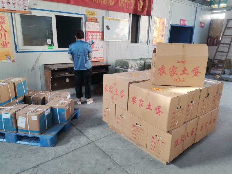 大量正宗散养绿壳土鸡蛋
