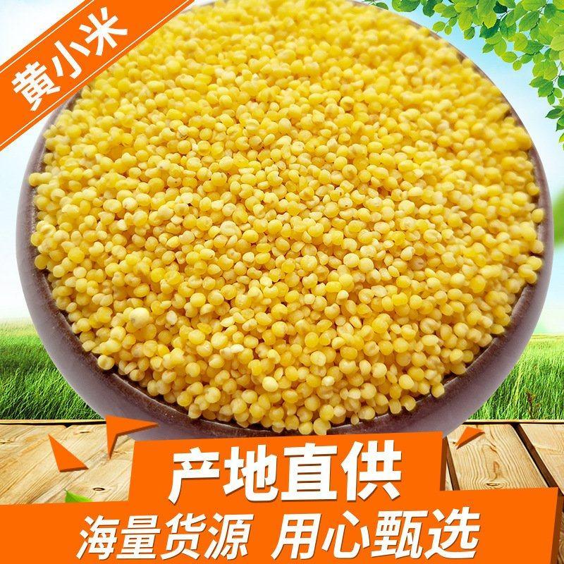 小米厂家直销大量批发新小米熬粥的小黄米小米粥东北小米