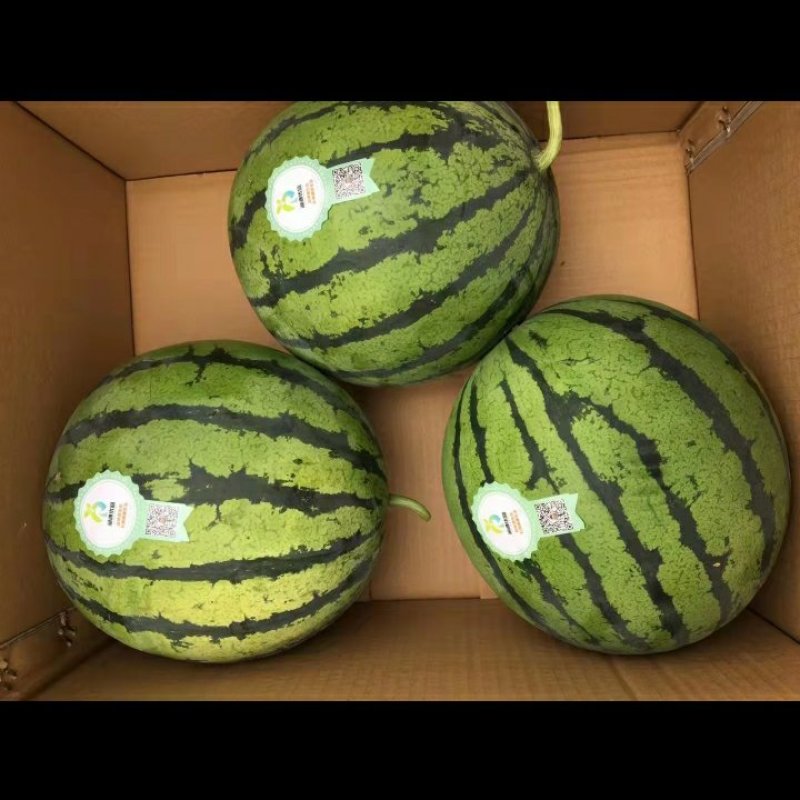 来自大山深处的精品
