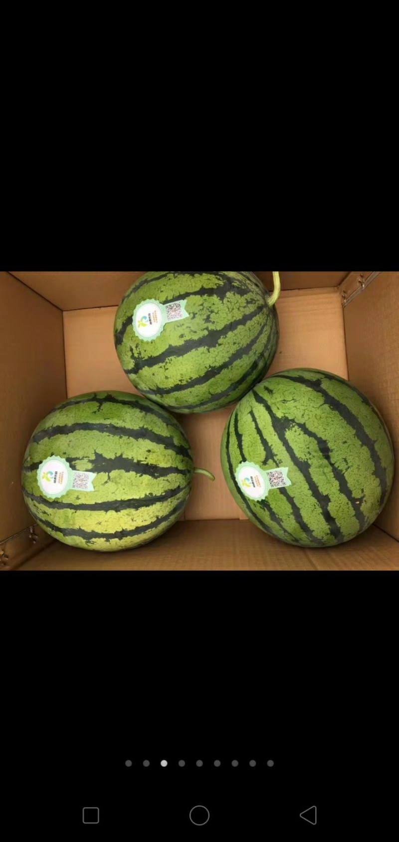 来自大山深处的精品