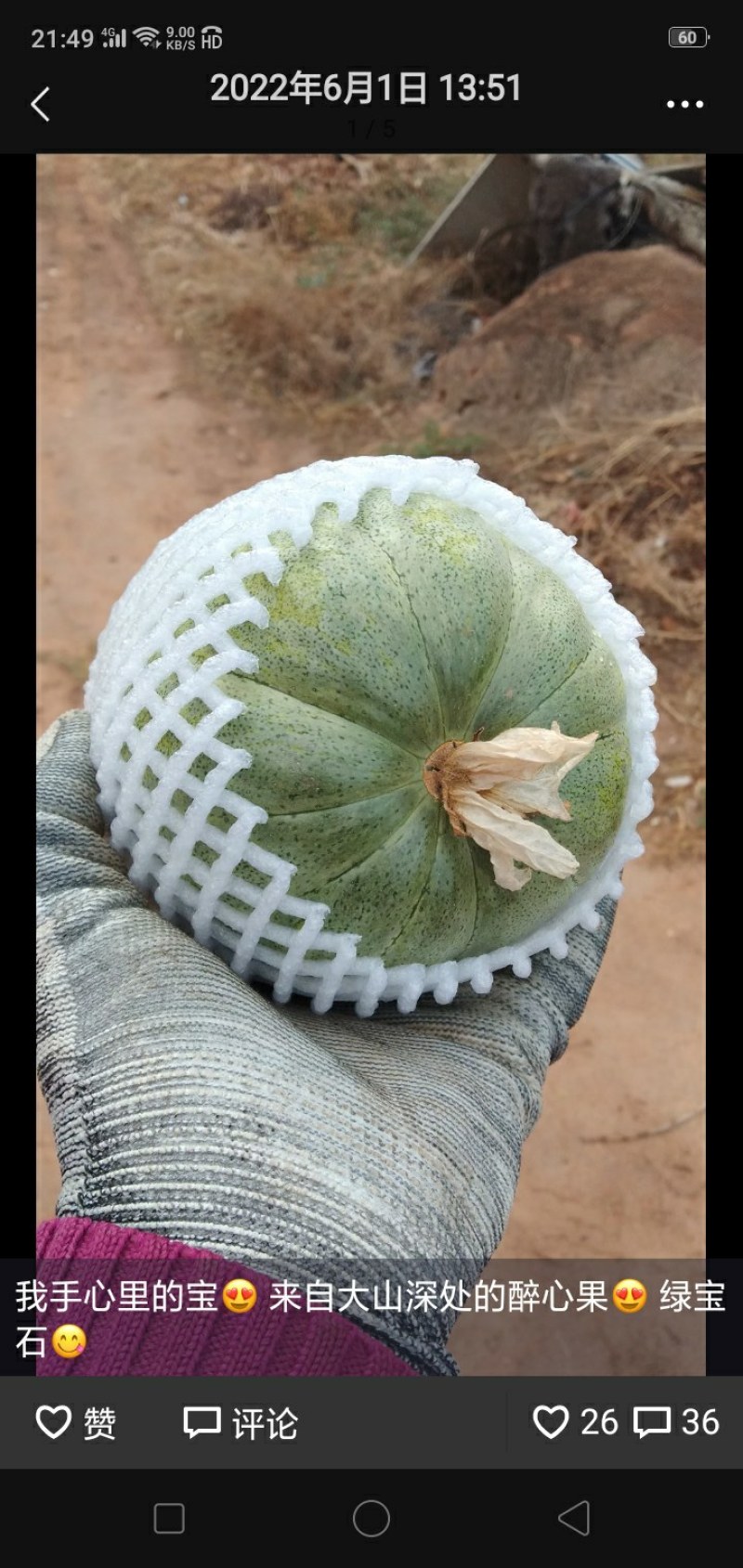来自大山深处的精品