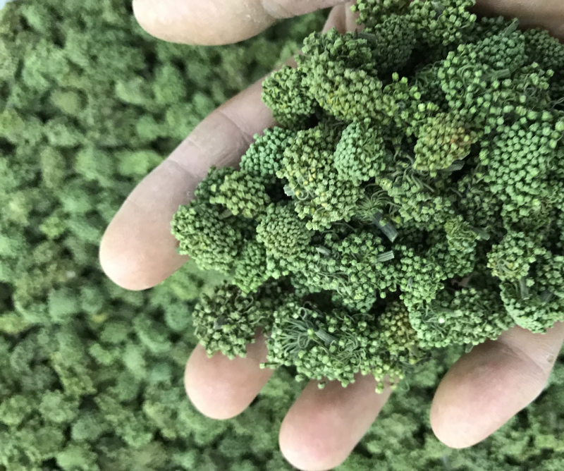 三七花云南特产文山三七花四年花精选产地直发一斤也批发