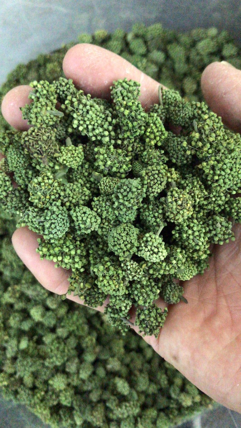三七花云南特产文山三七花四年花精选产地直发一斤也批发