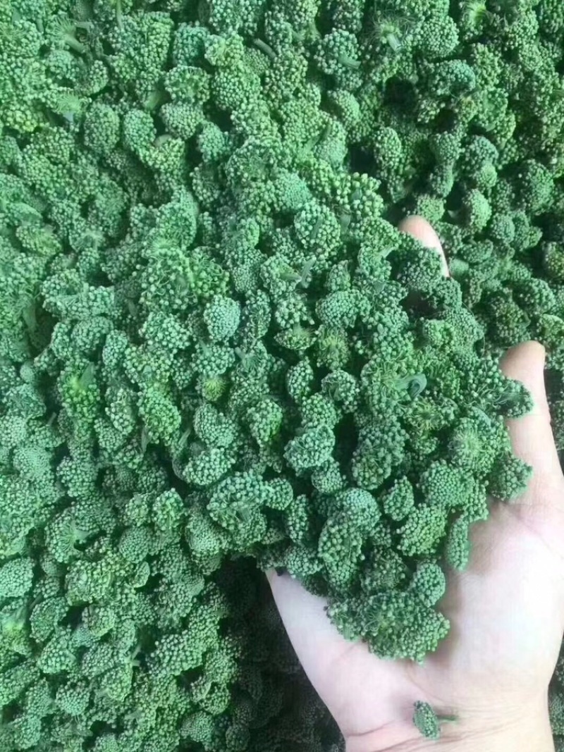 三七花云南特产文山三七花四年花精选产地直发一斤也批发