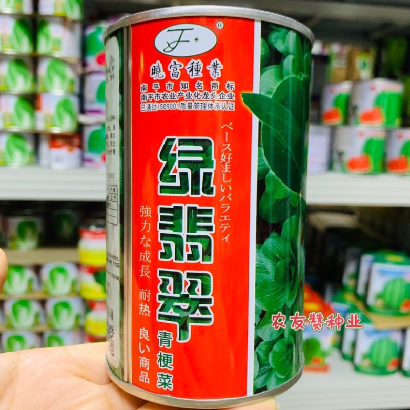 耐热束腰青梗菜种子晓富绿翡翠青菜种子耐湿，夏季高温不拔节