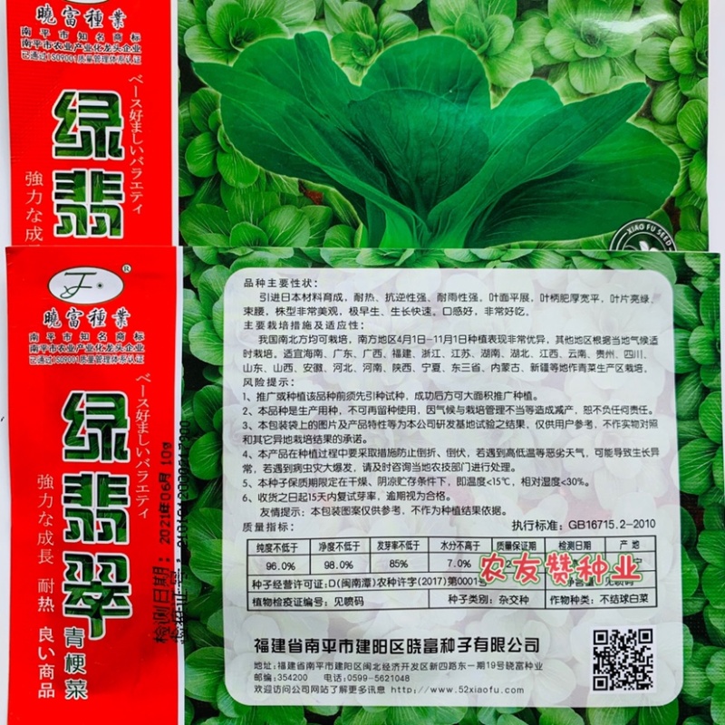 耐热束腰青梗菜种子晓富绿翡翠青菜种子耐湿，夏季高温不拔节