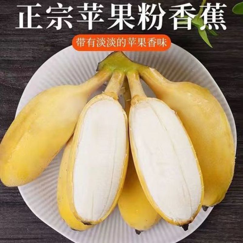 广西苹果蕉一件代发，电商，团购，一件代发，包邮