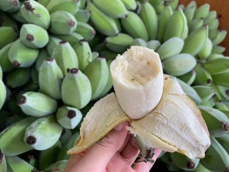 广西苹果蕉一件代发，电商，团购，一件代发，包邮