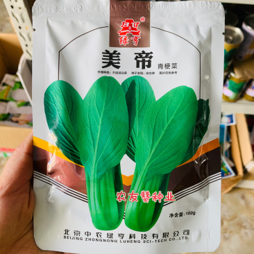 绿亨美帝青梗菜种子