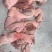 圈肉