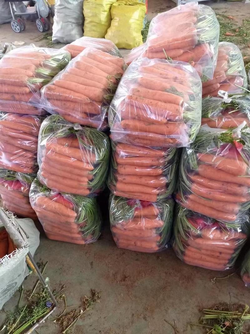 精品三红胡萝卜，水洗土货加工厂大量供应电商市场超市档口