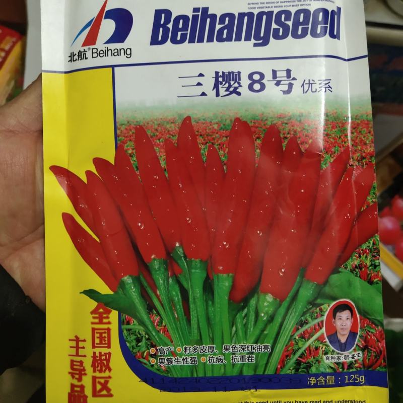 椒盼8号三樱八号朝天椒品种子早熟高产抗病亩1500斤
