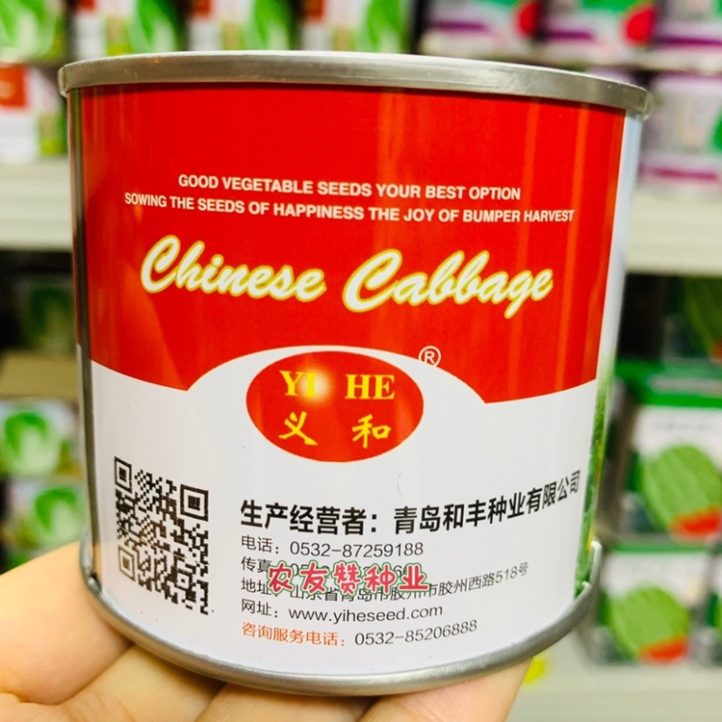 义和改良青杂三号大白菜种子杂交结球白菜种籽叶柄薄短圆筒