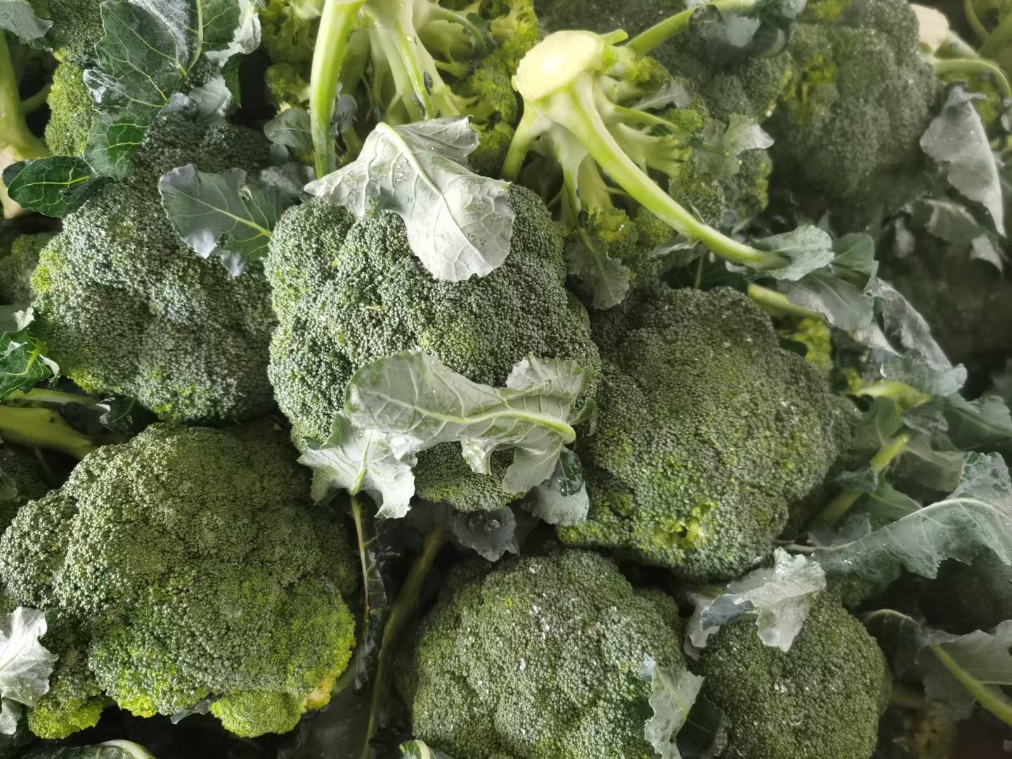 西兰花清洗与切分过程