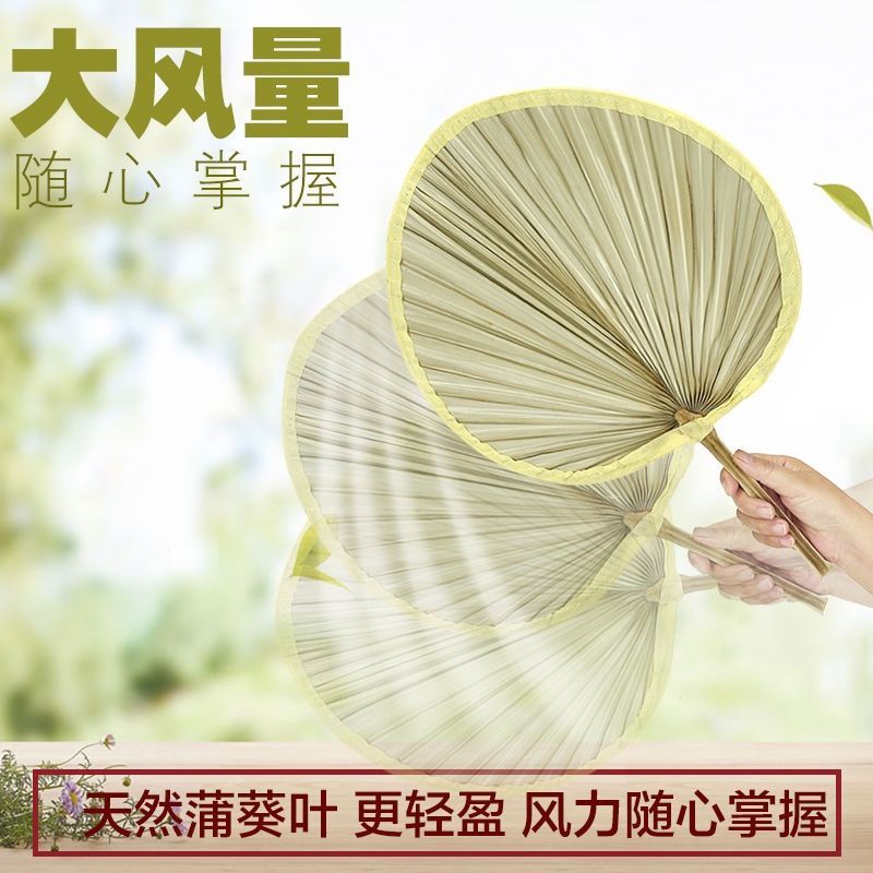 老人老式粽叶蒲葵扇纳凉扇大蒲扇子老式扇子夏天耐用芭蕉扇烧