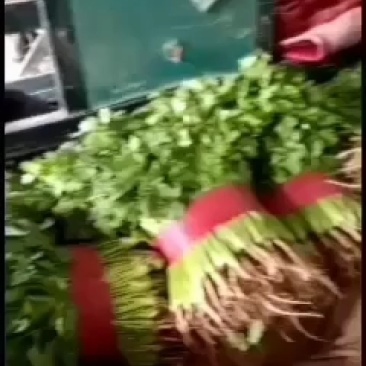 香莱