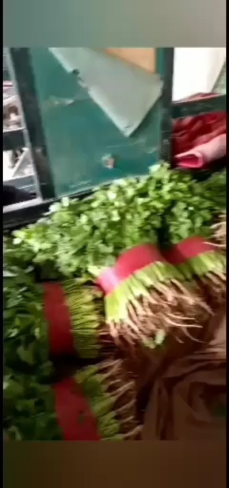 香莱