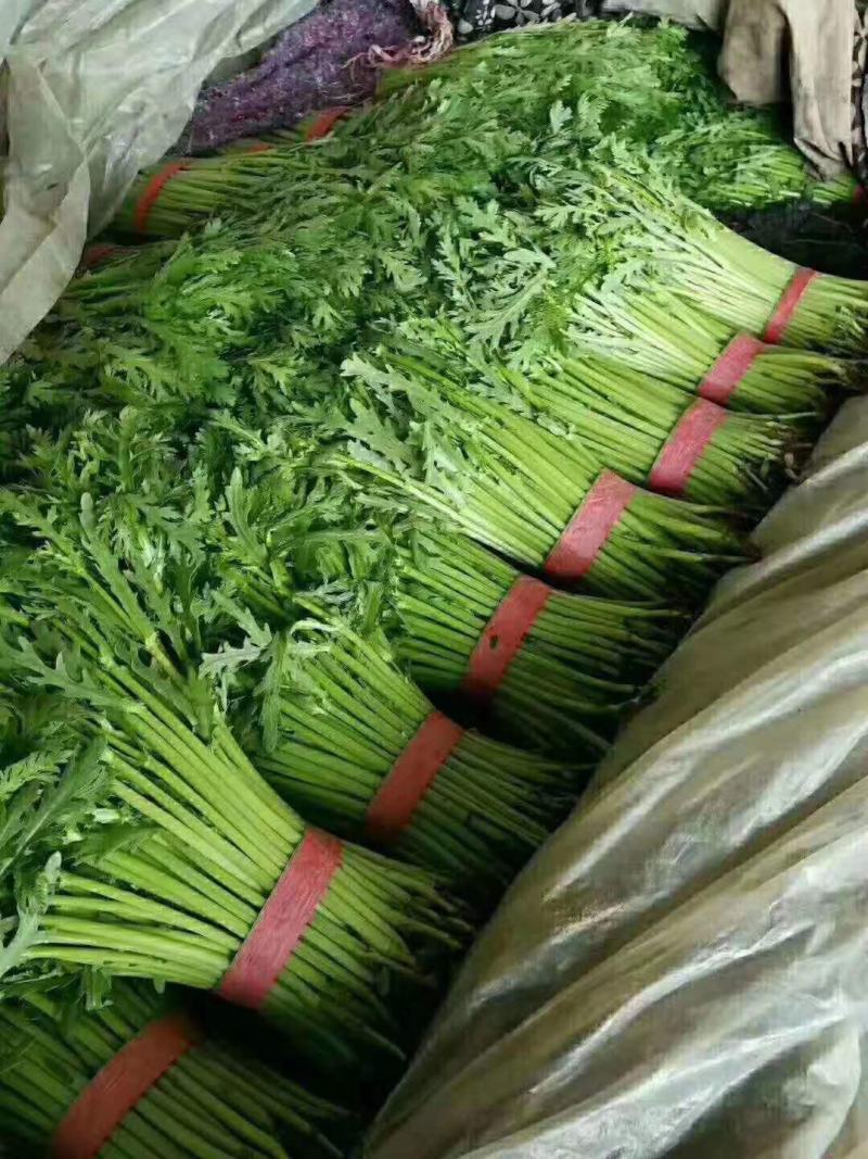 茼蒿