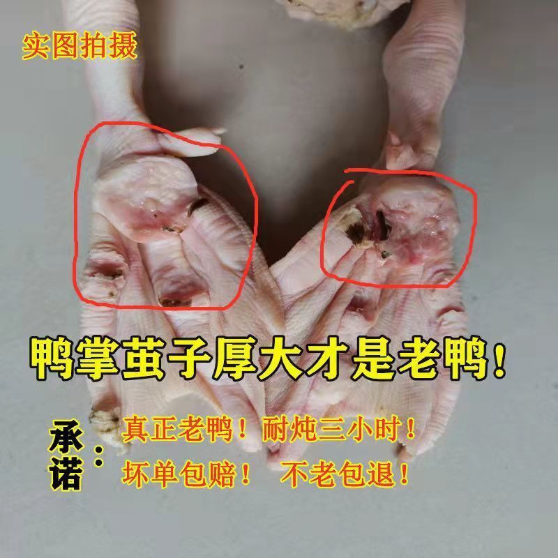 老鸭子正宗农家散养5年土鸭水鸭麻鸭新鲜鸭子现杀整只白条鸭