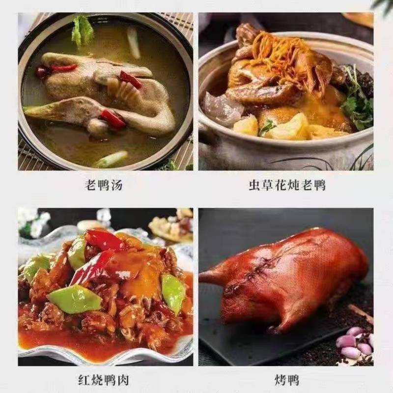 老鸭子正宗农家散养5年土鸭水鸭麻鸭新鲜鸭子现杀整只白条鸭