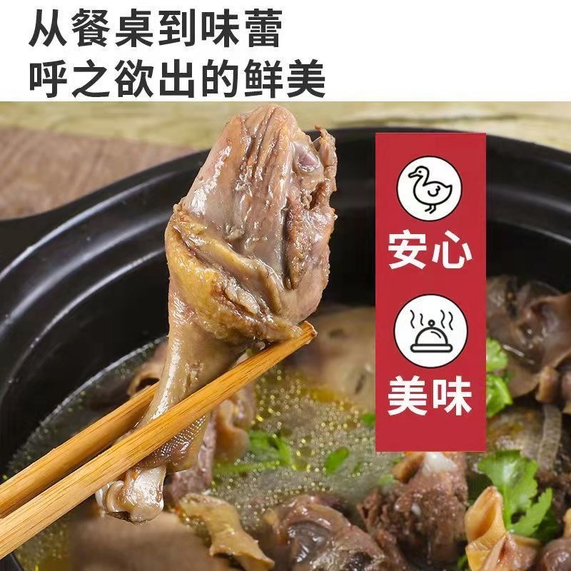 老鸭子正宗农家散养5年土鸭水鸭麻鸭新鲜鸭子现杀整只白条鸭