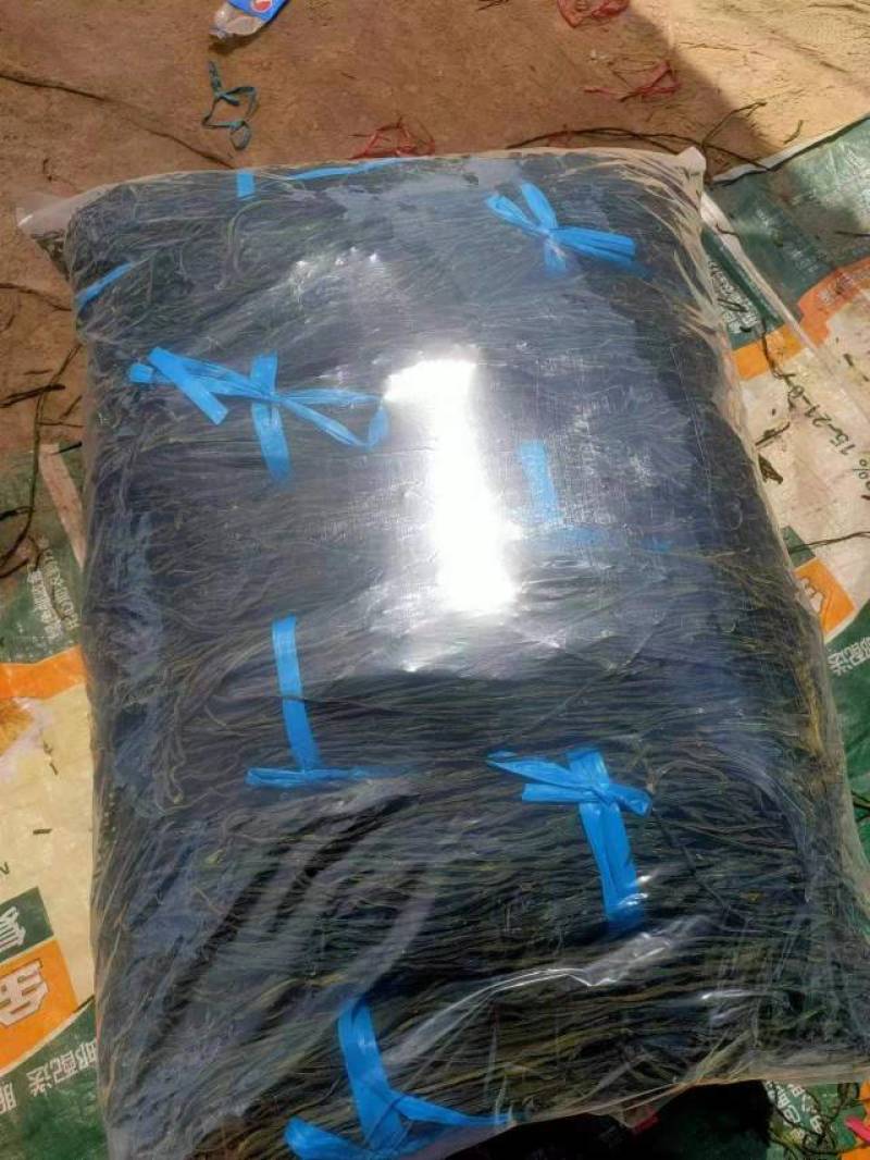 干豆角品种规格齐全常年供货价格便宜欢迎选购