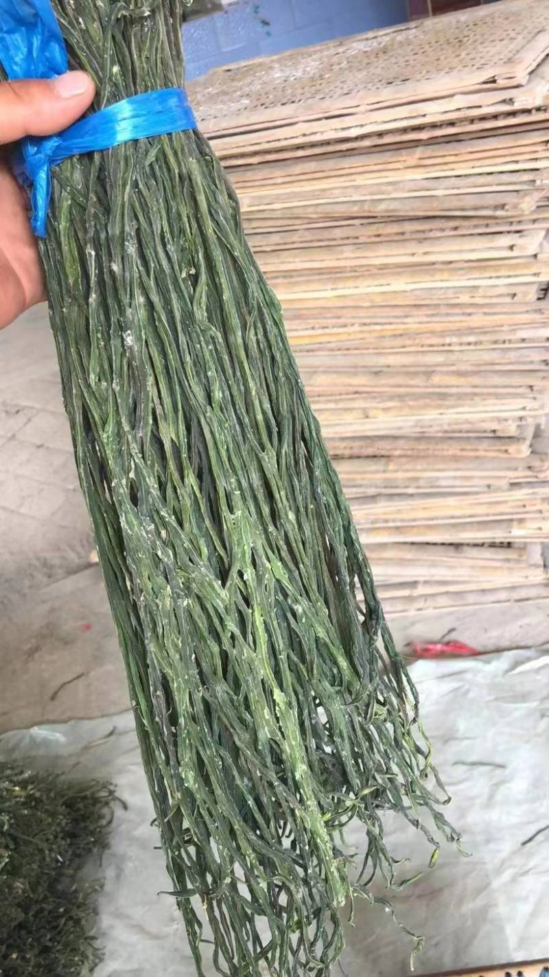 干豆角品种规格齐全常年供货价格便宜欢迎选购